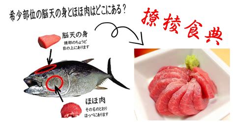 腦天|【撩棱食典】來自吞拿魚的腦天 